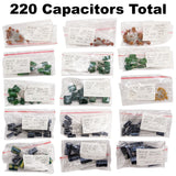 145 Piece Deluxe Capacitor Kit - Includes Disk, Mylar, Monolithic, and Electro Radial Capacitors