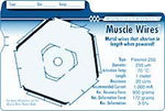 Muscle Wire Low Temp (Lt) Muscle Wires Diameter 50 Microns